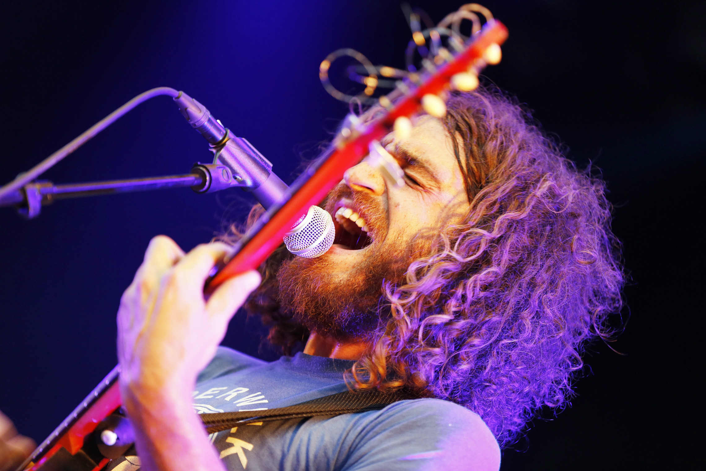 Image Duck Duck Grey Duck